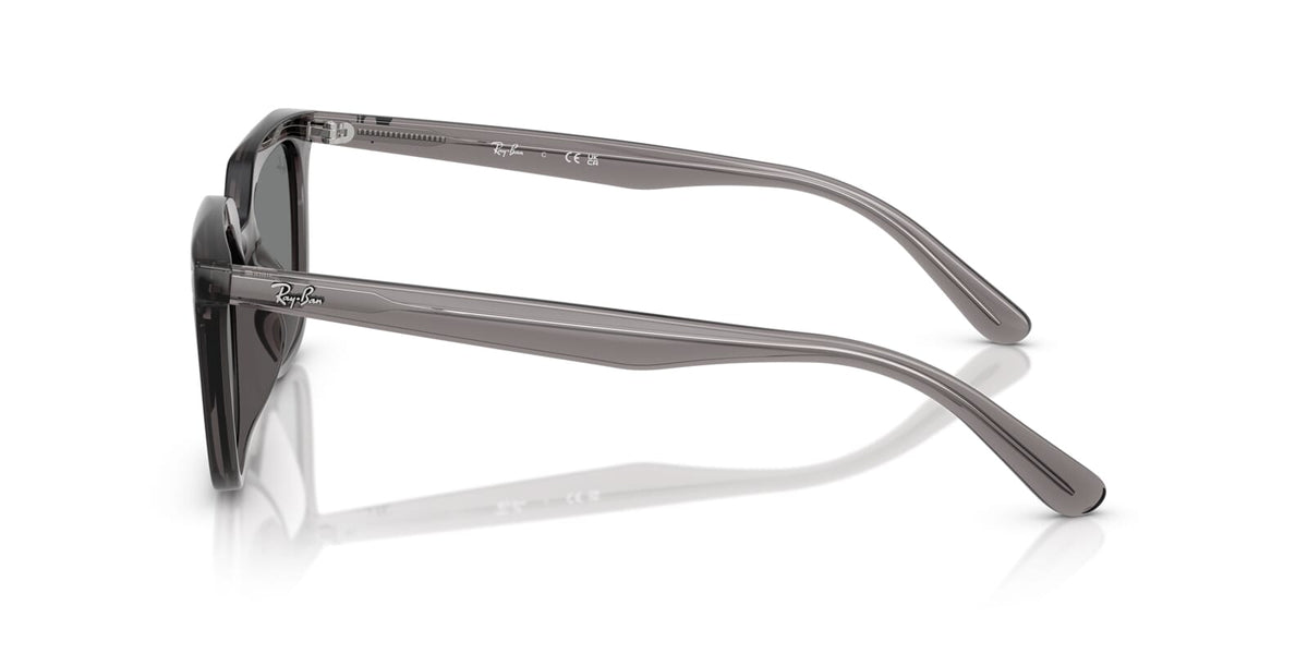 Ray-Ban RB 4439D 6675/87