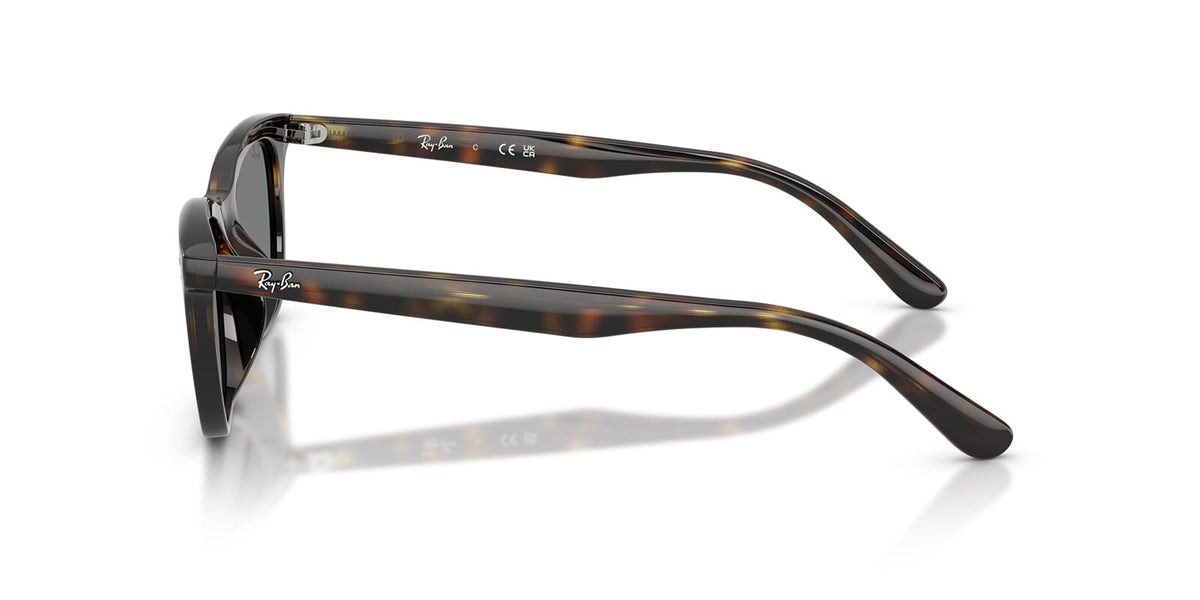 Ray-Ban RB 4474D 710/87